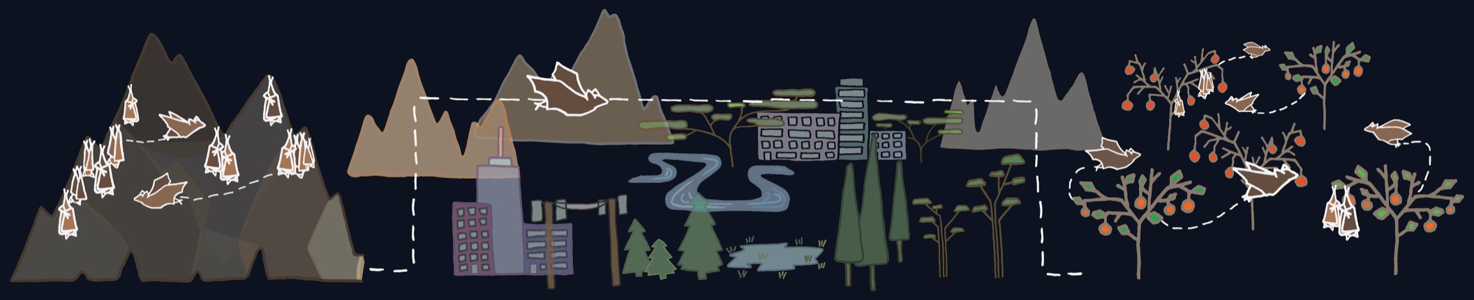 Illustration of a bat's daily cycle: social roosting in a cave during the day, commuting across mountains and a city, and foraging in fruit trees at night