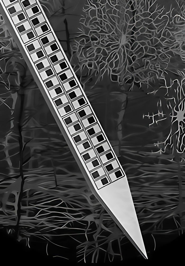Neuropixels probes Neuropixels probes